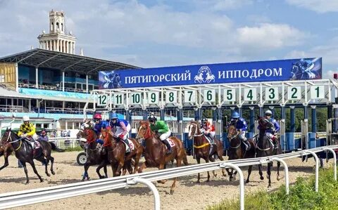 Расписание скачки пятигорск