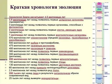 Художники в хронологическом порядке