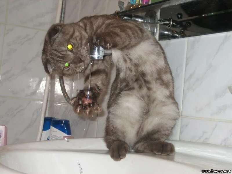 Делай что хочешь картинки. Статусы про отношения. На первом свидании мем. Выбери цифру. Кот наследил.