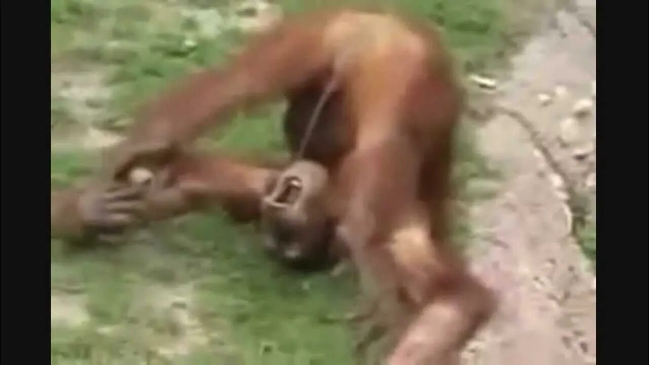 i?id=e3bec85ee4d28c7c1dcff66229bf4f69_l-7994142-images-thumbs&n=13