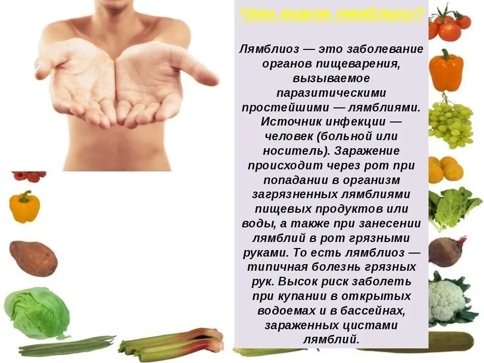 Лямблиоз у взрослых. Лямблии переносчики болезней. кишечная лямблия заболевание. лямблиоз симптомы у взрослых симптомы. симптомы лямблиоза.
