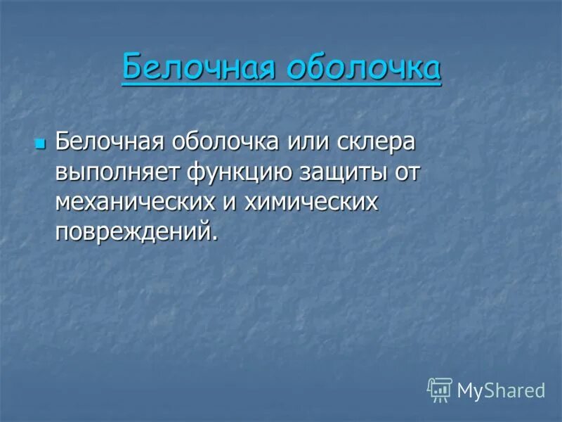 Белочная оболочка функции. Белочная оболочка функции. Белочная оболочка склера строение. Белочная оболочка функции. Белочная оболочка строение и функции.