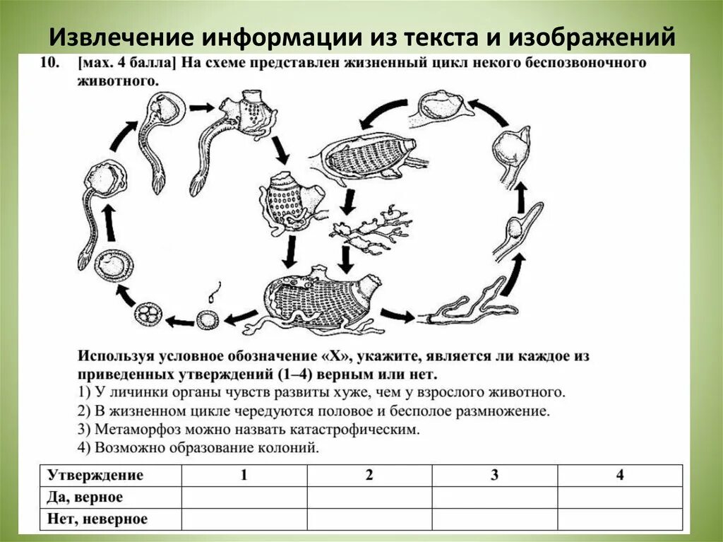 Использованием информации из текста. Извлечение информации из текста. этапы извлечения информации. поиск и извлечение информации из текста это. извлечение информации состоит из скольких этапов.