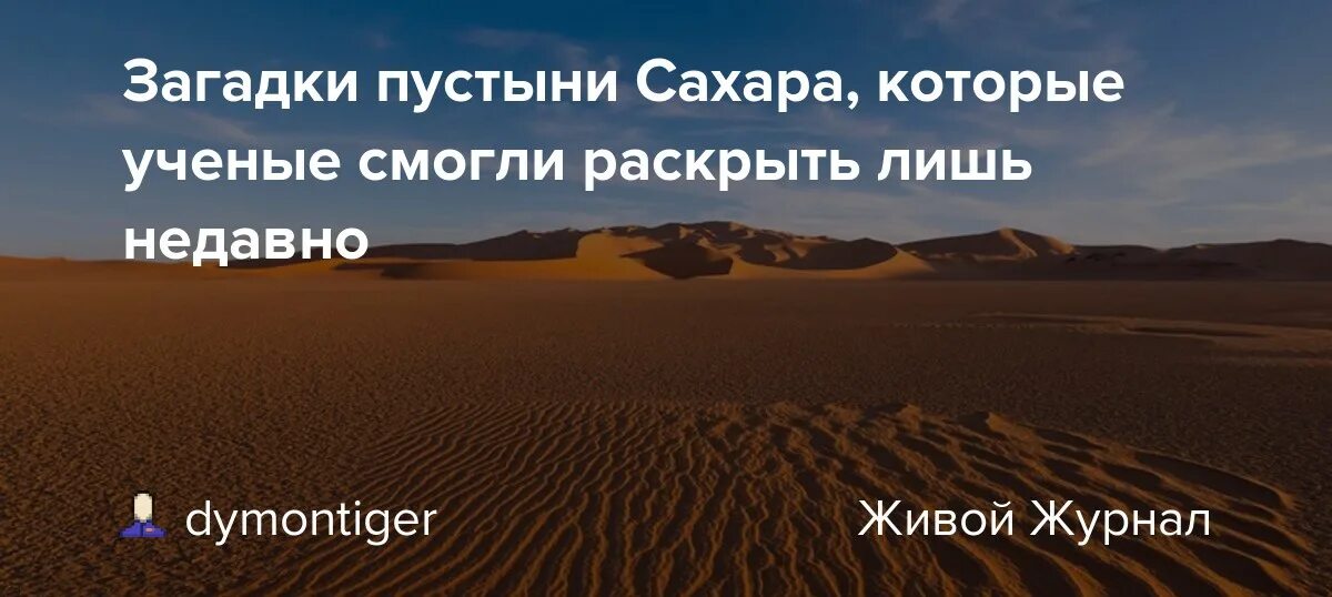 Головоломка пустыня. Загадки пустыни сахара. Загадки по пустыню. Загадки про пустыню. Загадка про пустыню сахара.