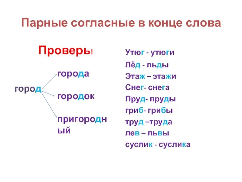 Парная согласная в корне слова примеры слов. Слова с парными согласными в корне. Парная согласная в конце слова 2 класс. Орфограммы парных согласных.