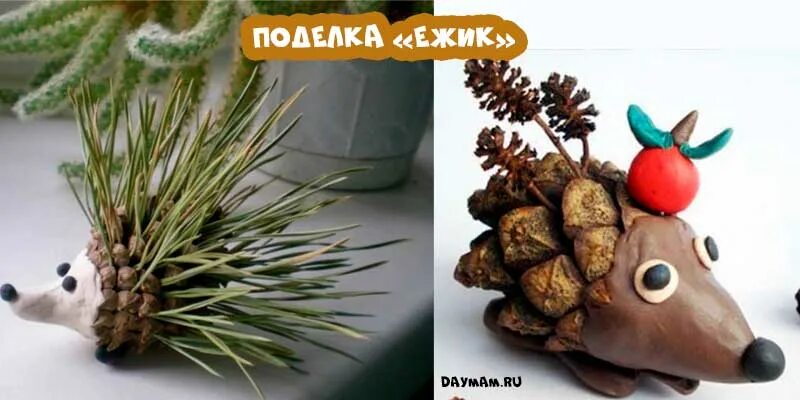 Ежик из носка и шишек. Ежик из шишек. ёжик из шишки и пластилина. еж из шишек и пластилина.