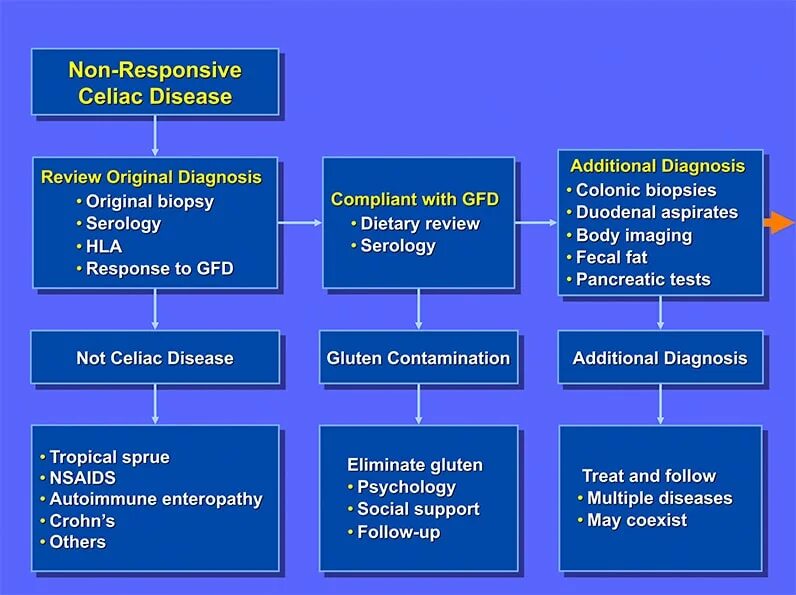 Классификации mayo clinic. Disease diagnosis. Chronic kidney diagnosis. Disease diagnosis. Simplified diagnostic criteria for aih.