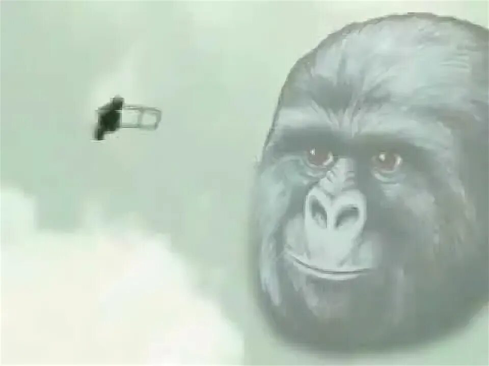 No need to get my. There is no need to be upset. no need гифка. no need to be upset meme. there is no need to be upset meme.