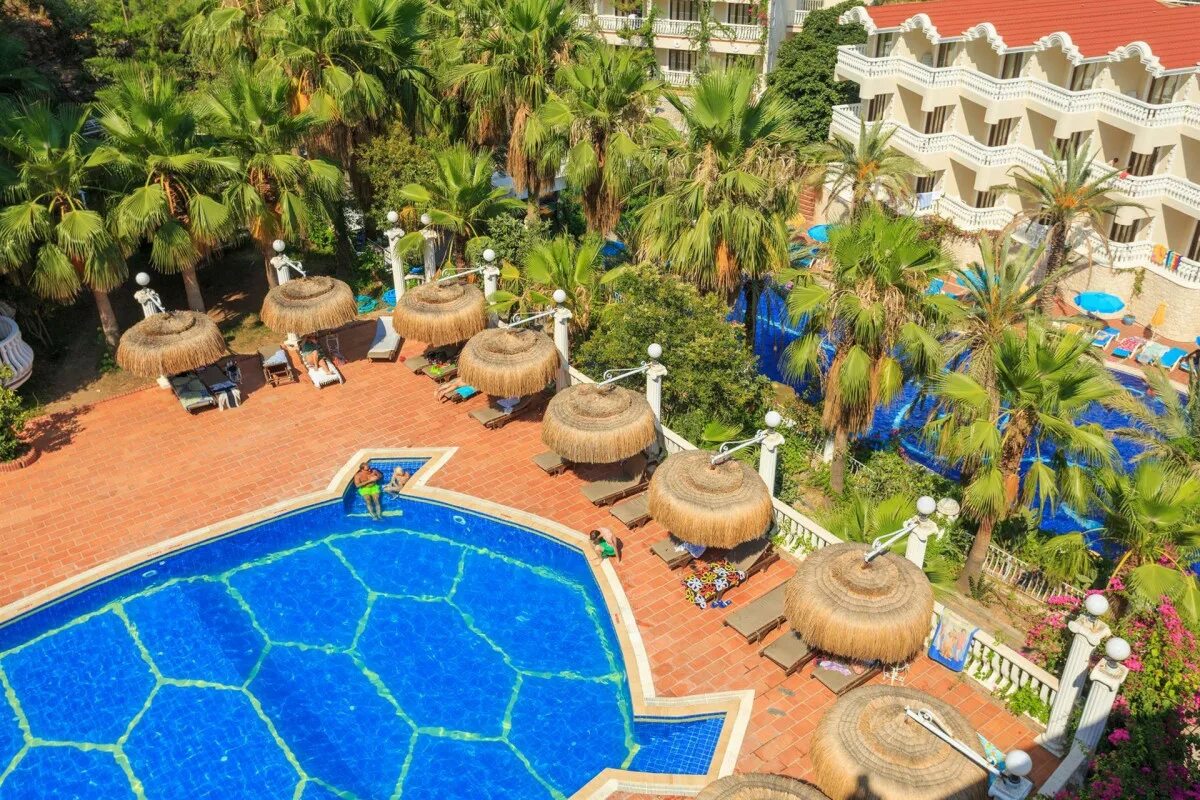 Отель Flamingo Hotel Oludeniz. Flamingo Spa Олюдениз. Фламинго отель Турция Фетхие. Flamingo Hotel Oludeniz 3*. Flamingo hotel oludeniz