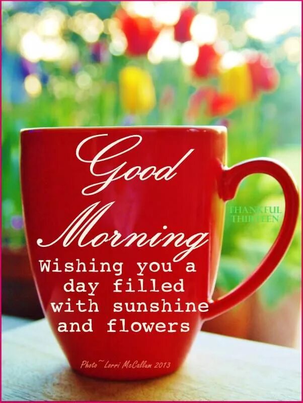 Открытка have a nice day. Good morning wish you a good day. Good day wishes. Good day цветы. Wishing you a good day.