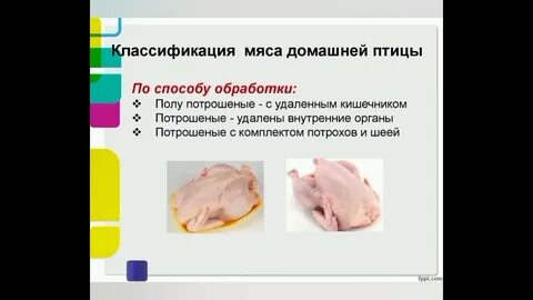 В каком состоянии птица поступает на предприятии