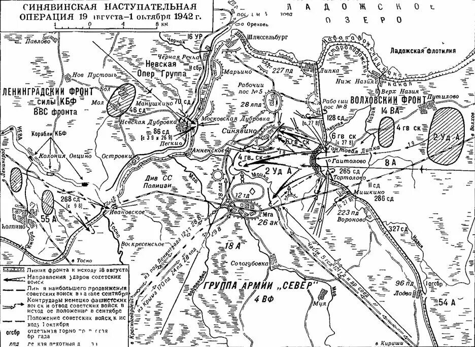 Операция Брусилов 1943 Мгинская. Синявинская операция 1942 года карта. Синявинская наступательная операция 1942 года Волховский фронт. Карта Волховского фронта 1942 год карта боевых действий. Волховский плацдарм в феврале 1942 года