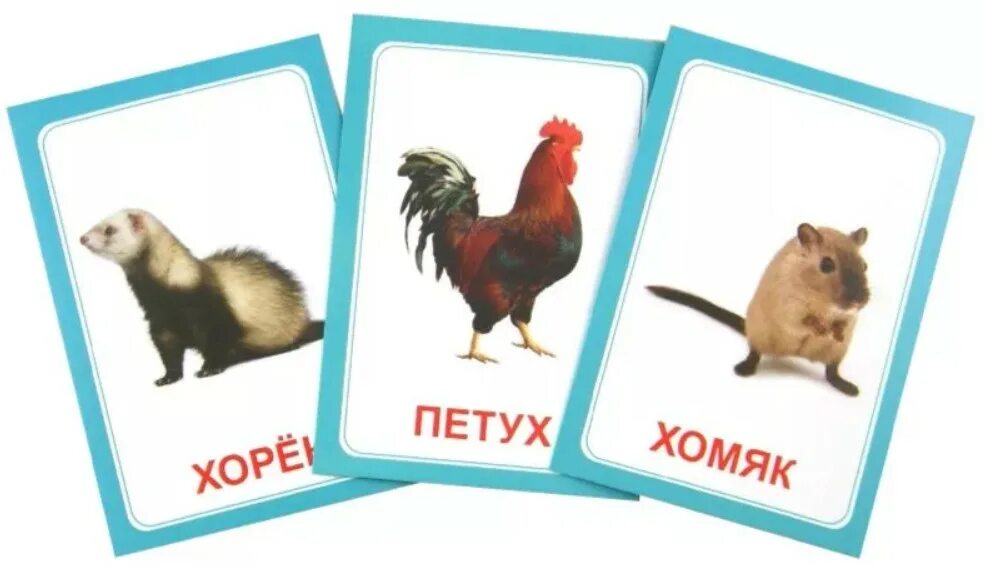 Карточки для логопеда. Логопедические карточки для чтения. Карточки для логопеда. Логопедические карточки. Логопедические карточки распечатать.