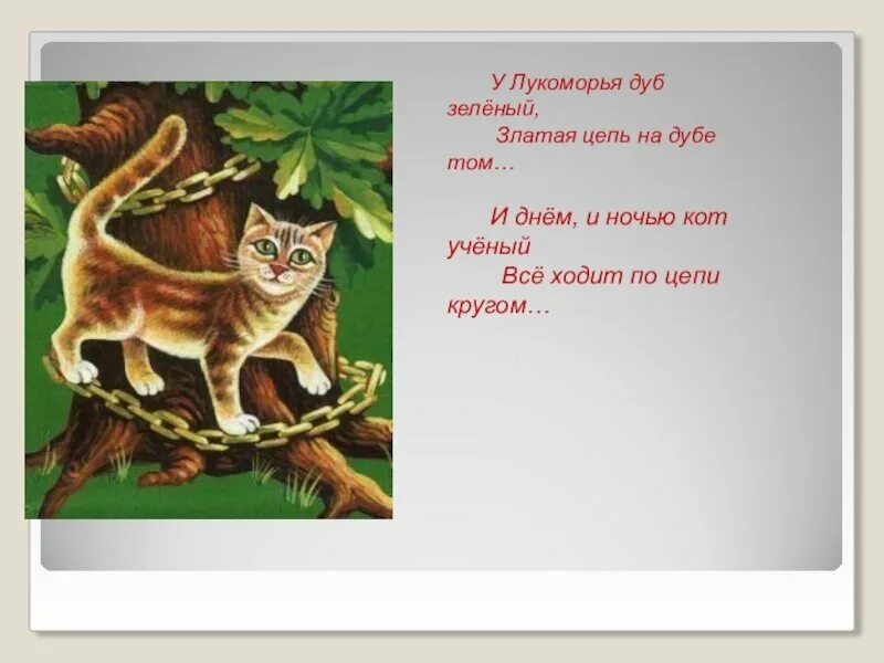 У Лукоморья дуб зеленый кот ученый. Стих кот ученый. У Лукоморья дуб зеленый златая цепь на дубе том. Златая цепь на дубе том. Золотая цепь на дубе том и днем