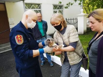 Москва спасая жизни