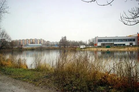 Водоемы новгорода