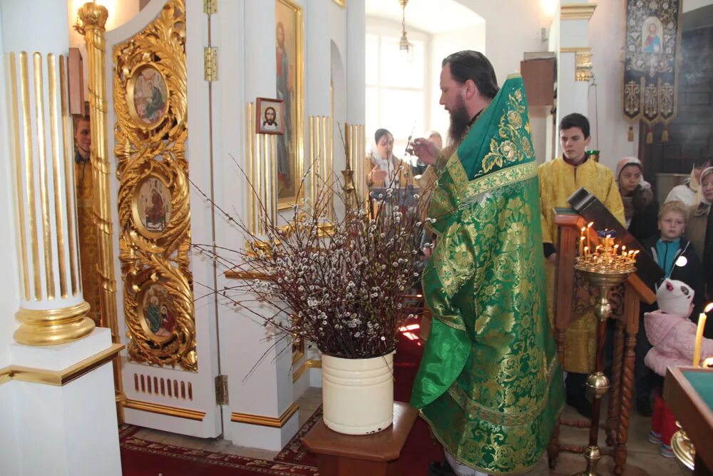 Освящение вербы. Верба храм Рождества Христова Краснодар. Храм Рождества Мытищи Вербное воскресенье. Освящение вербы в храме. Верба освященная.