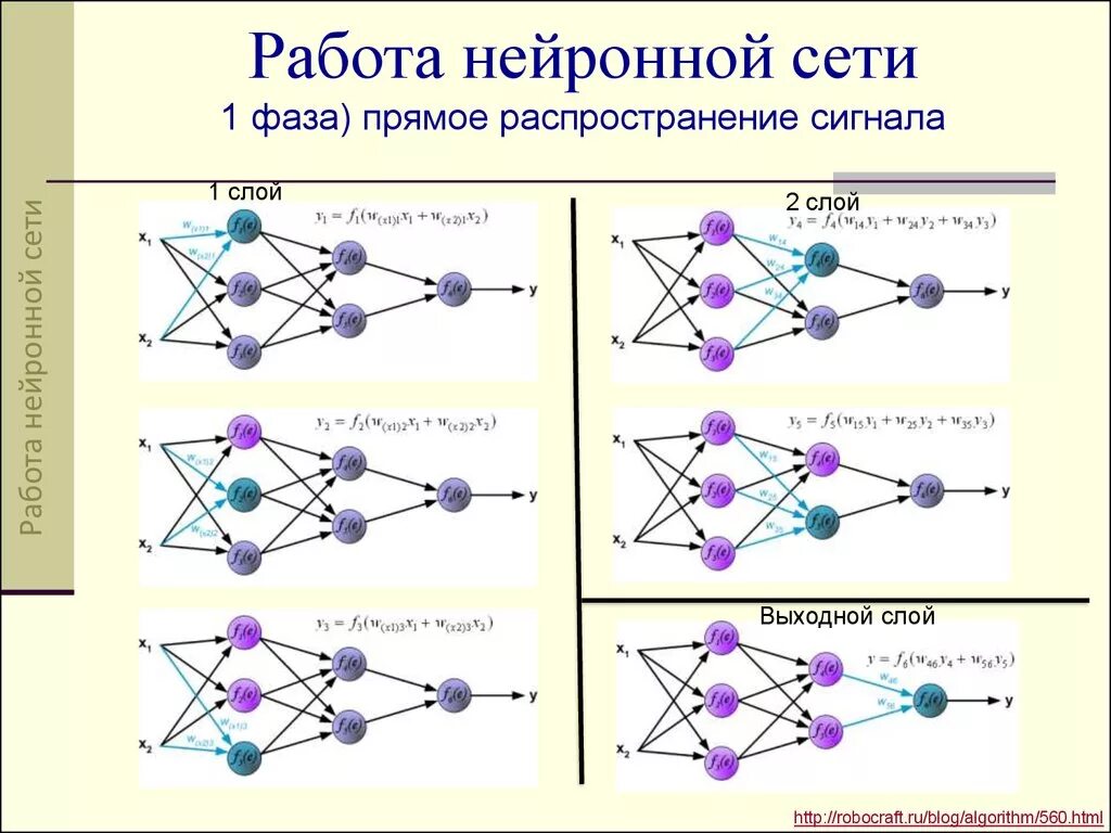 Число элементов в нейросети. Классификация нейронных сетей схема. Принцип работы нейронной сети. Нейронная сеть мозга человека схема. Перцептронная нейронная сеть:.