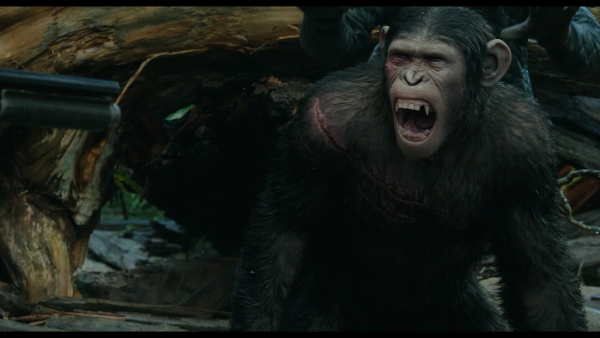 Часть обезьян 4. Терри Нотари Планета обезьян. Восстание планеты обезьян 2. Планета обезьян: революция (2014).