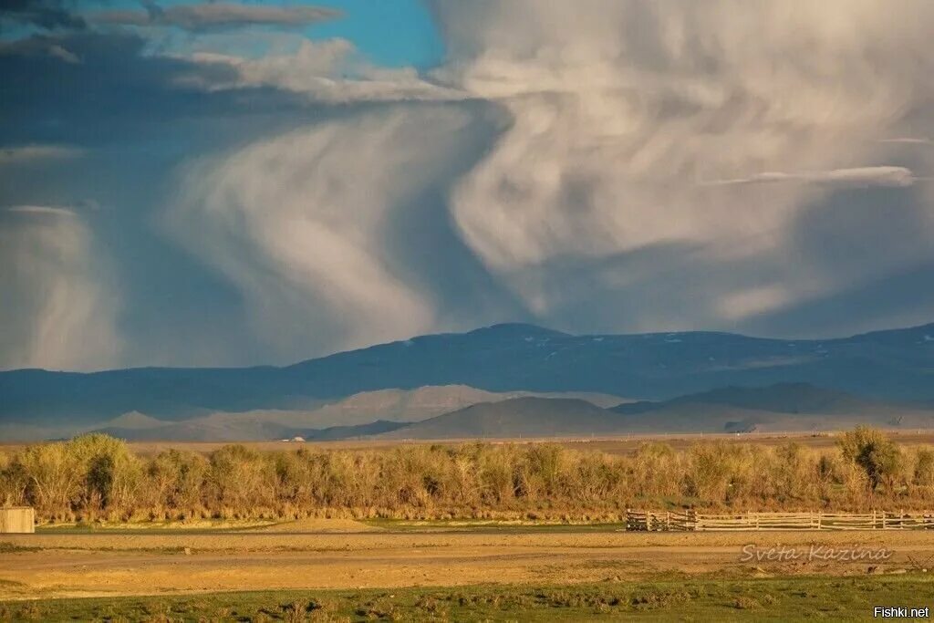 Феномен вирга. Феномен вирга. Явление вирга. Дождь не достигающий земли. Вирга дождь.
