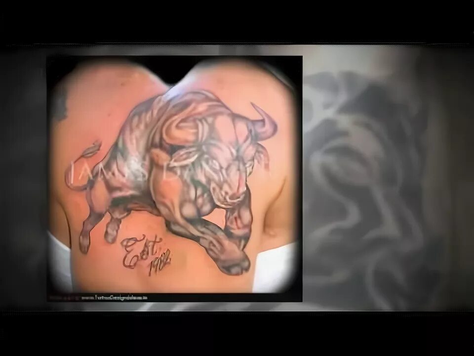 тигр,рак,лиса, кот, сом найти пары. рак тигр мужчина. кот скорпион. рак тигр мужчина. рак тигр мужчина.