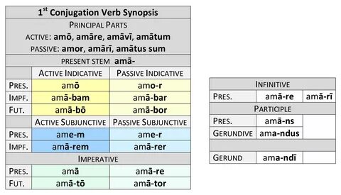 This is actually a short article or even picture around the 1st Conjugation Present System...