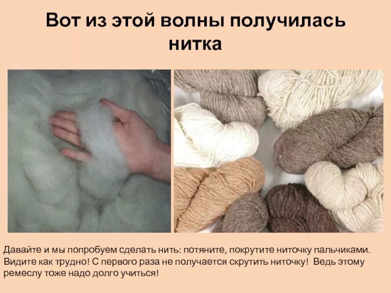 Как делают шерстяные вещи 2 класс. Как делают шерсть. как делают шерстяные нитки для детей. как делают шерстяные вещи. проект на тему как делают шерстяные вещи.