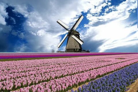 Holland country