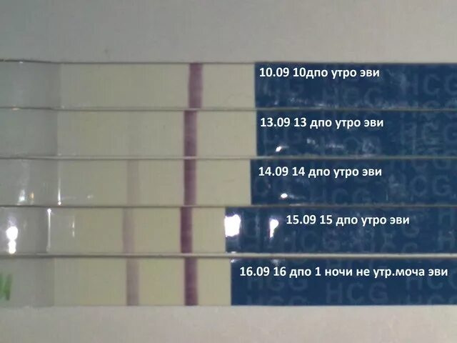 На тесте исчезли полоски на беременность. Слабая вторая полоска. Тест на беременность слабая полоска. Тест на беременность показывает вторую полоску бледную. Слабая вторая полоска на тесте.