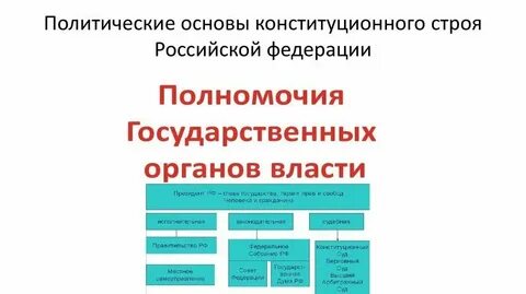 Конституционный орган пример