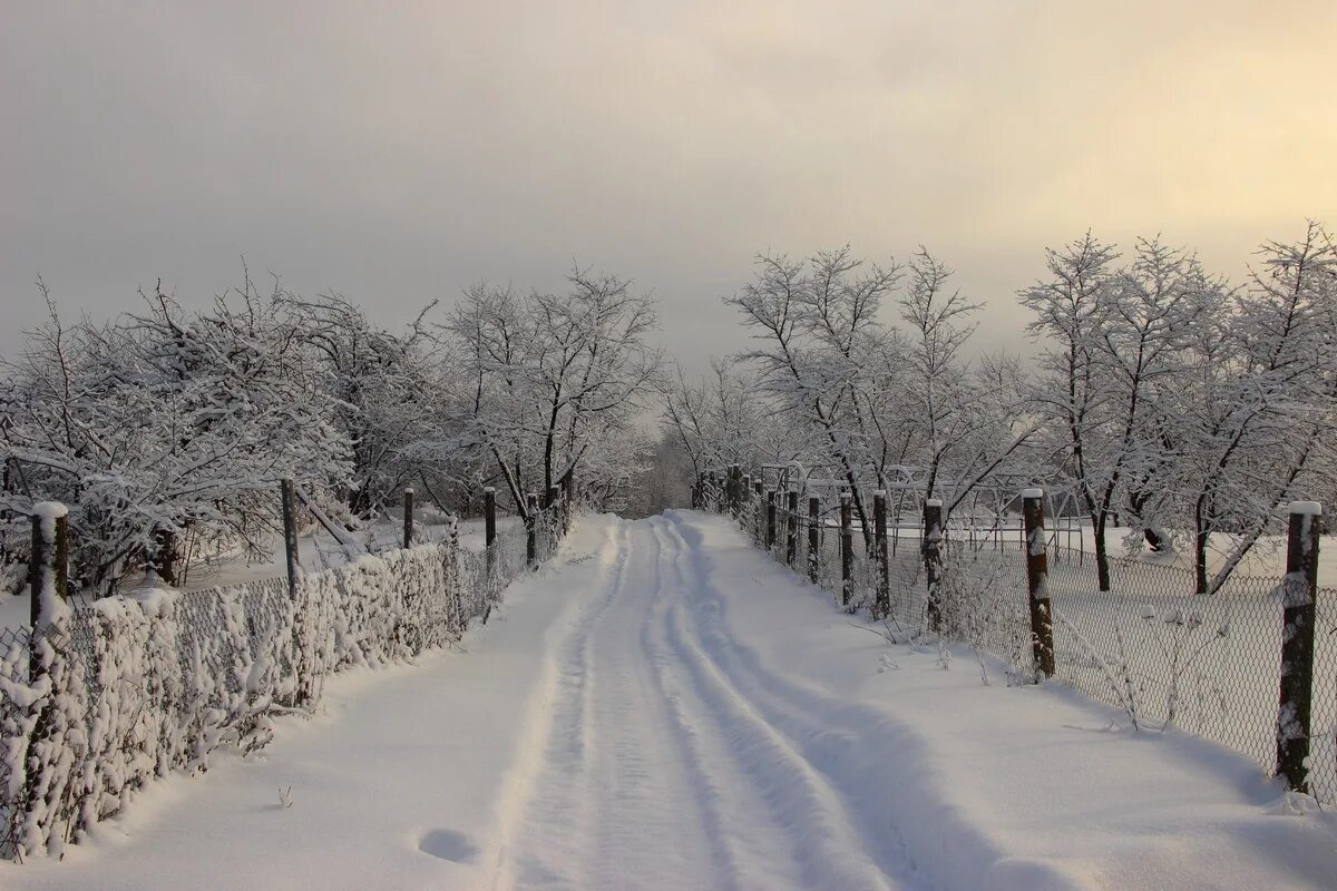 Лес в баранчинском. Межа зимой. Межа зимой. Конец зимы. Межа граница рубеж.