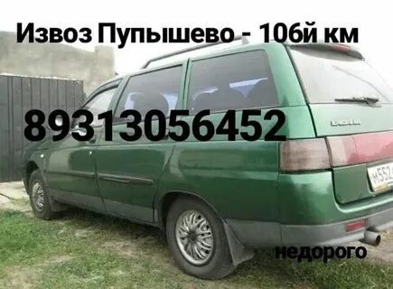 Пупышево рыбацкое