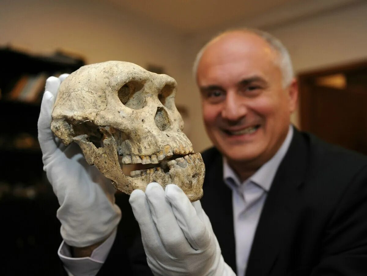 Череп 5 лет. Череп гоминида из дманиси.