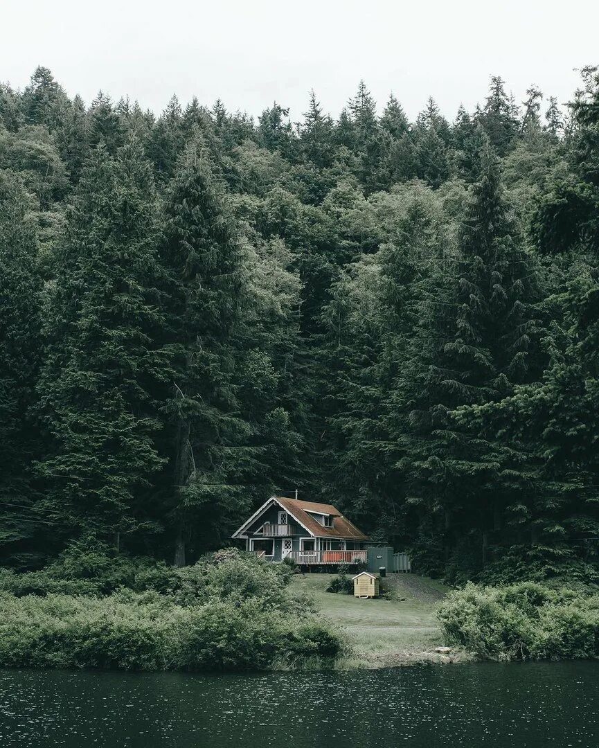 Домики вдали. Forest House Хижина в лесу. Архыз "домик лесника". Хижина гномов, Британская Колумбия. Шварцвальд дом в лесу.