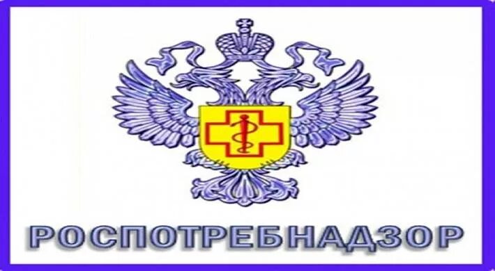 Сэс ростов. Сэс ростов