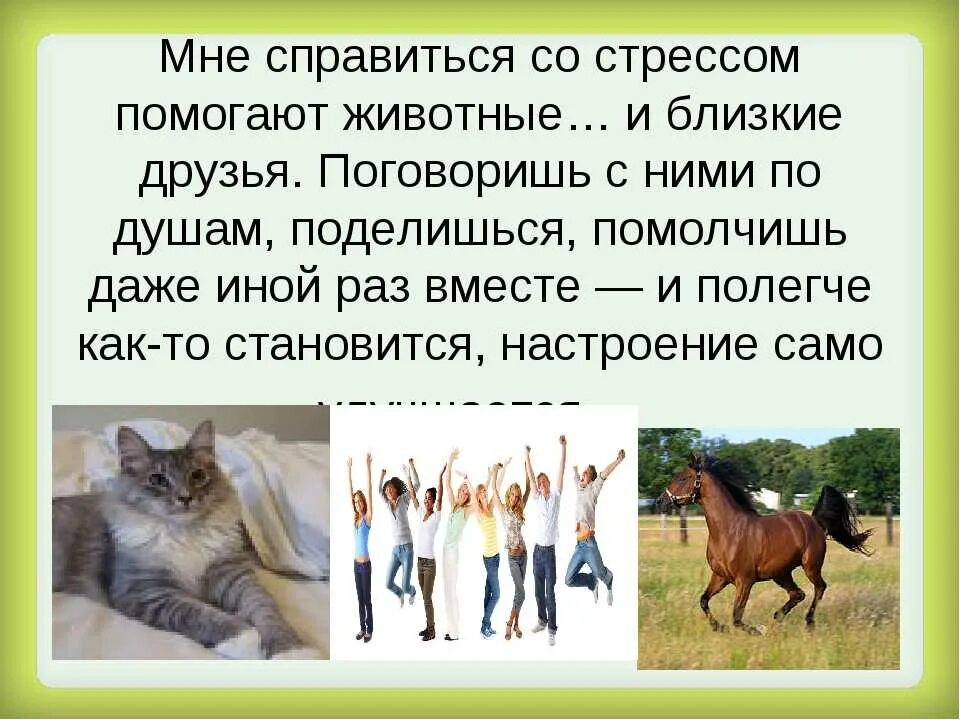 Люди ведут себя как животные как называется. Какие животные ближе всего к человеку. Как животные помогают человеку. Люди-животные как называются. Животные помогают с стрессом.