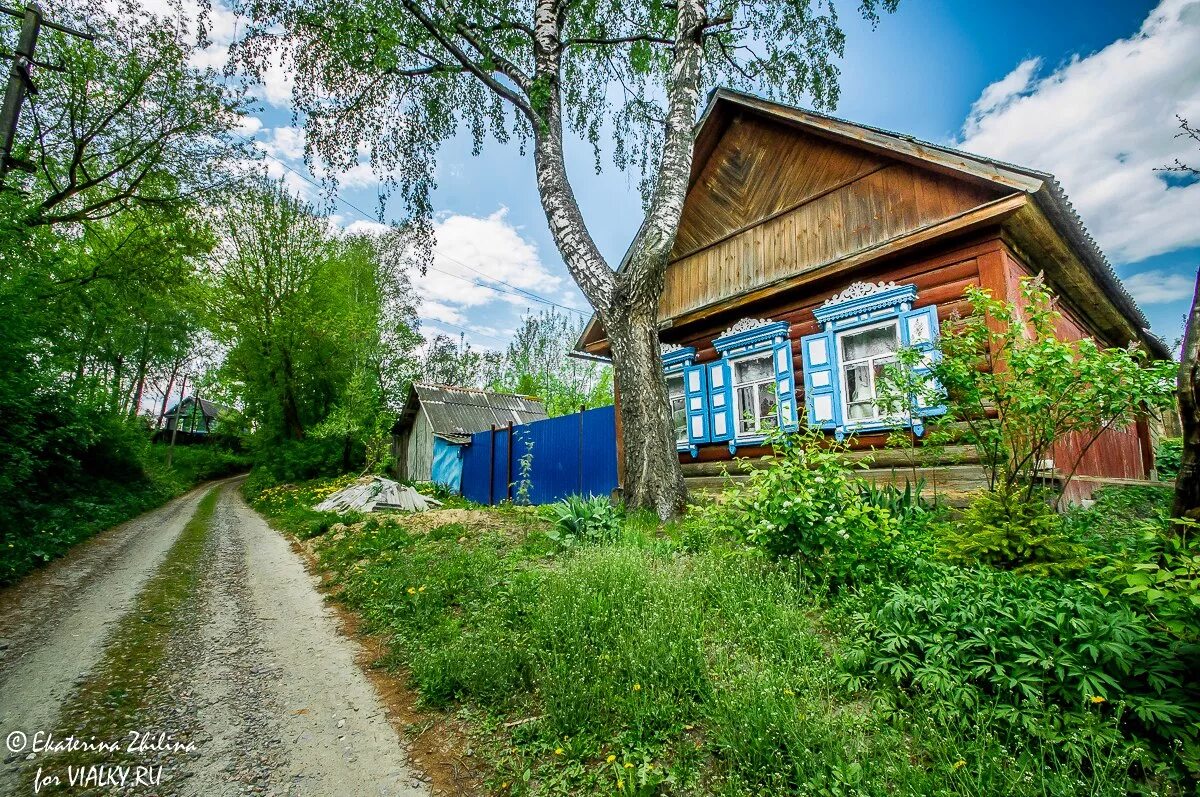 Теплый деревня брянская. Брянская область почепский р-н д вяльки.