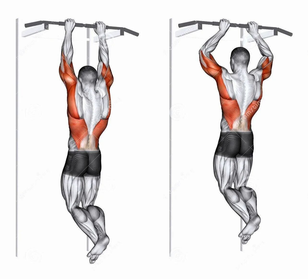 Верхние подтягивания. Подтягивания узким хватом мышцы. Подтягивания хватом сбоку. Подтягивания широким хватом техника. Тяга вертикального блока пронированным хватом.
