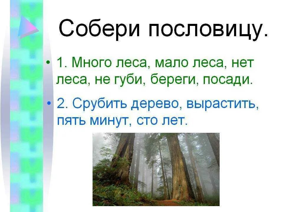 Пословица дерево живет. Пословицы о лесе. Пословицы на тему лес. Поговорки о лесе. Пословицы и поговорки о лесе.