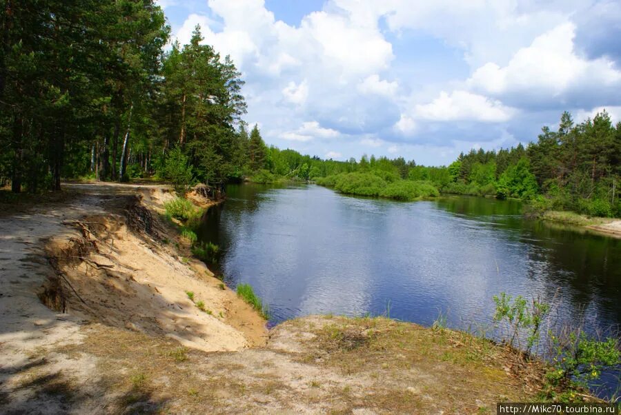 Мещера клепики. Клепиковский район,мещера тума,. мамасево клепиковский район. бусаево рязанская область клепиковский район. река тума в рязанской области.