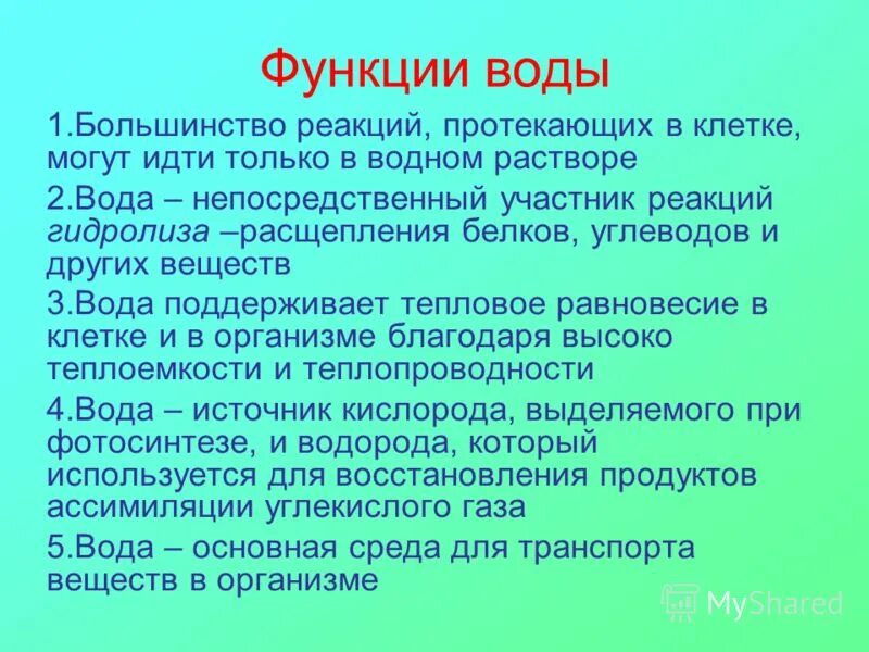 Вторая функция воды