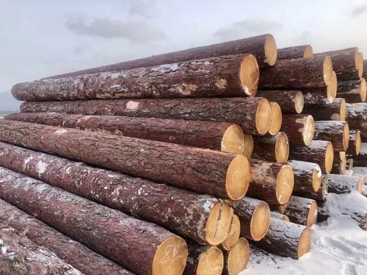 Под кругляк. Под кругляк. Кругляк 150 мм 65г. Заготовка древесины. Под кругляк.