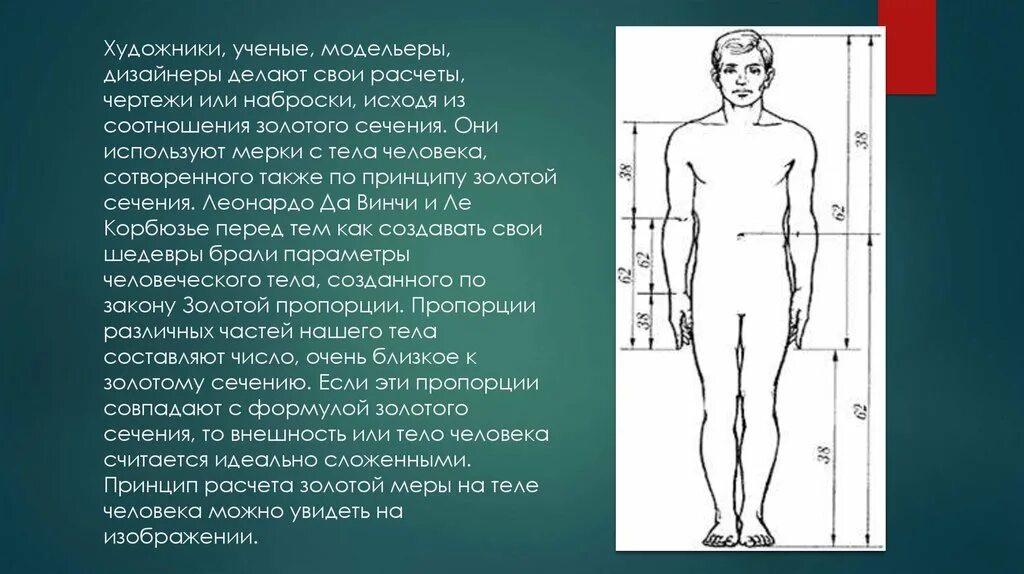 Золотое сечение рентгенодиагностические центры. Золотое сечение в композиции. Картины по принципу золотого сечения. Золотое сечение в теле человека. Мерки тела человека по Золотому сечению.