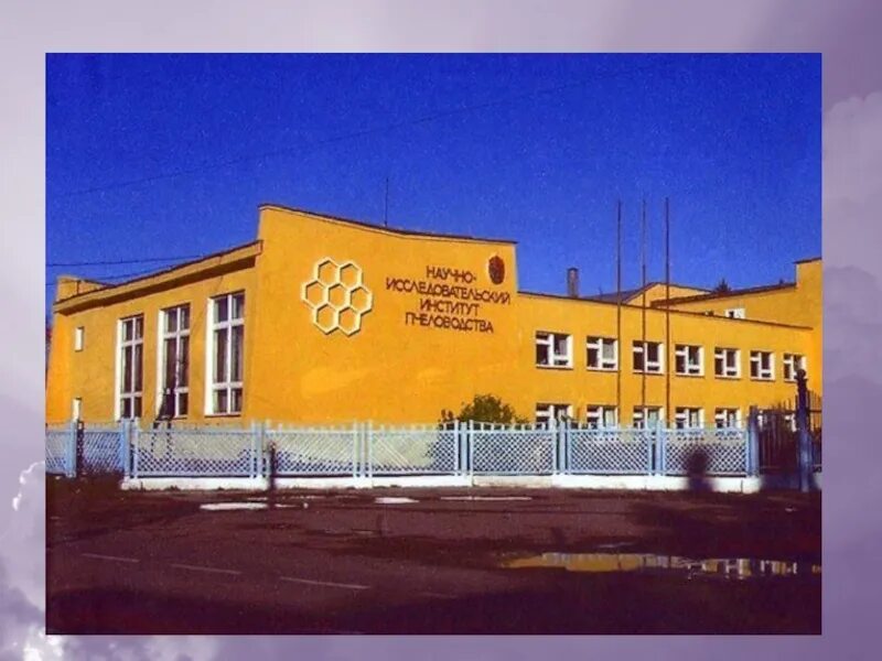 Институт пчеловодства рыбное. Научно-исследовательский институт пчеловодства рыбное. город рыбное институт пчеловодства. фнц пчеловодства рыбное. академия пчеловодства г. рыбное рязанская обл..