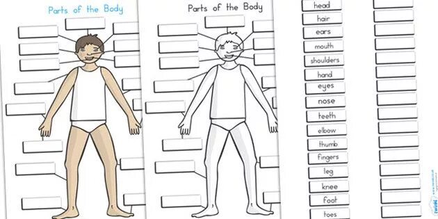 This is my body. Body Parts. Шаблон my body. Зфкеы ща еру ищвн дфиуд. Parts of the body Label the pictures.