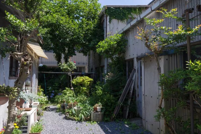 найди кошку. найти кота 4. игра найди кота на картинке. найди кота на картинке с ответами. найти кота 4.