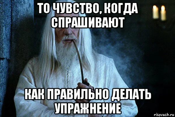 Умный кот мем. Том спросил когда они. Мемы про новогоднюю премию. Картинки я не знаю что сказать. Я в деле.