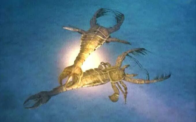 Какой тип питания характерен для морского скорпиона. Водные Скорпионы в древности. Морской Скорпион. Морской Скорпион в пруду. Морской Скорпион основа для буйабеса.