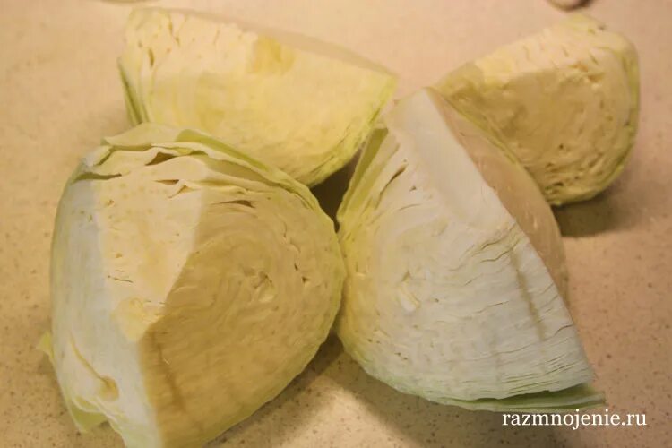 капустная кочерыжка. капуста со вкусом кочерыжки. кочан капусты. капуста со вкусом кочерыжки. капуста кольраби в разрезе.