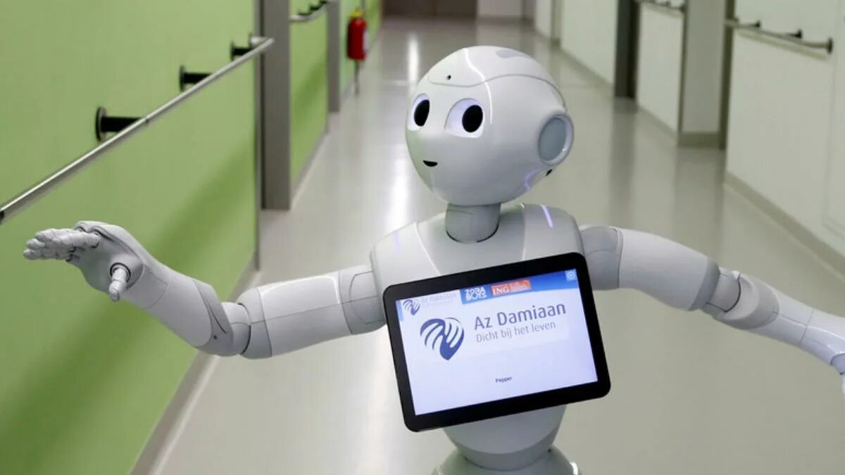 Teaching robot